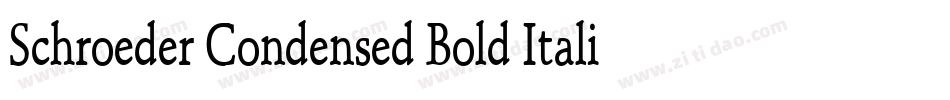 Schroeder Condensed Bold Italic字体转换